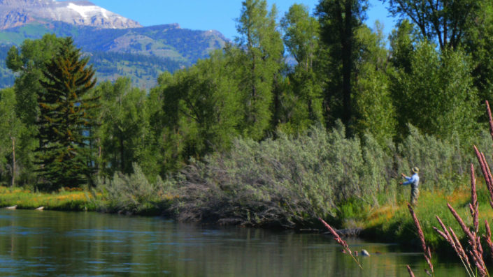 fishermanspringcreek