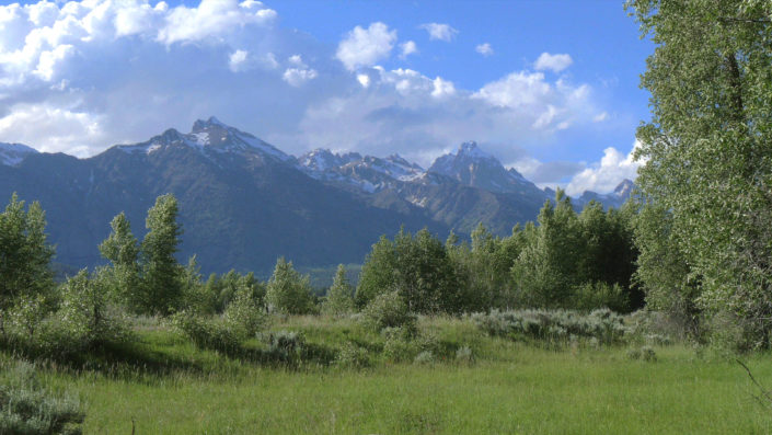 tetons-green-grass-in-foreground