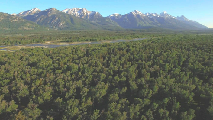 tetonsgreensnakeriveraerial